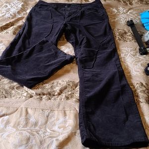 Calvin Klein ladies velvet  pants